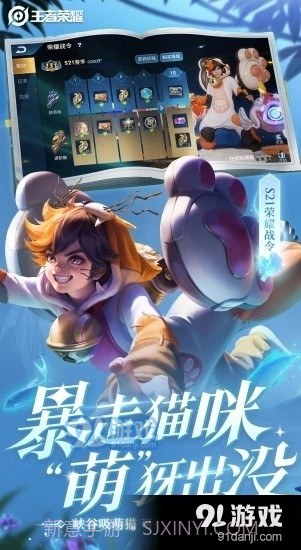 王者荣耀ui美化包截图5