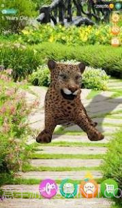 会说话的猎豹截图1