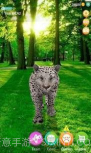 会说话的猎豹截图2
