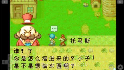 牧场物语矿石镇的伙伴们中文版截图1