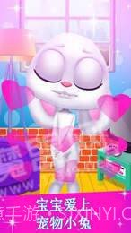 我的宠物小兔宝宝截图3