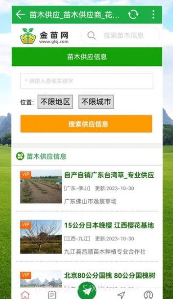 金苗网截图3