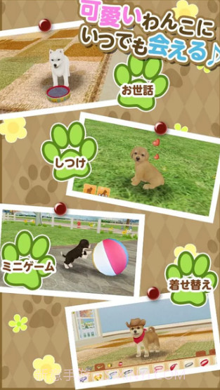 掌心小狗截图2 掌心小狗截图2