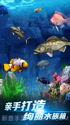 啪啪钓鱼官网版截图3