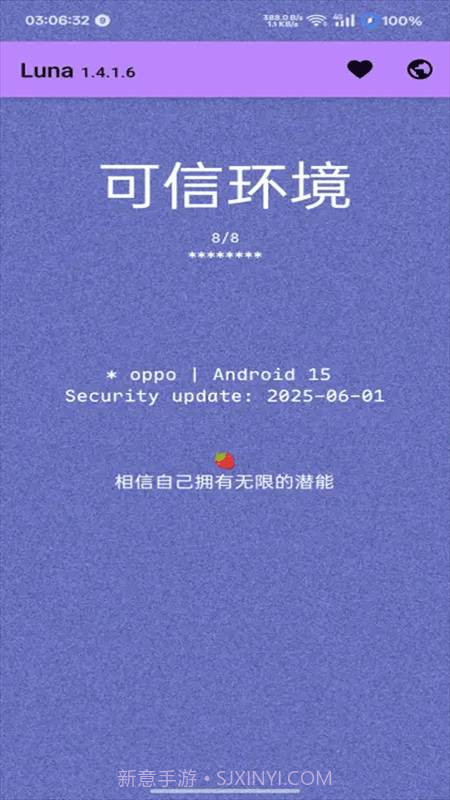 Luna环境检测工具自定义版截图3