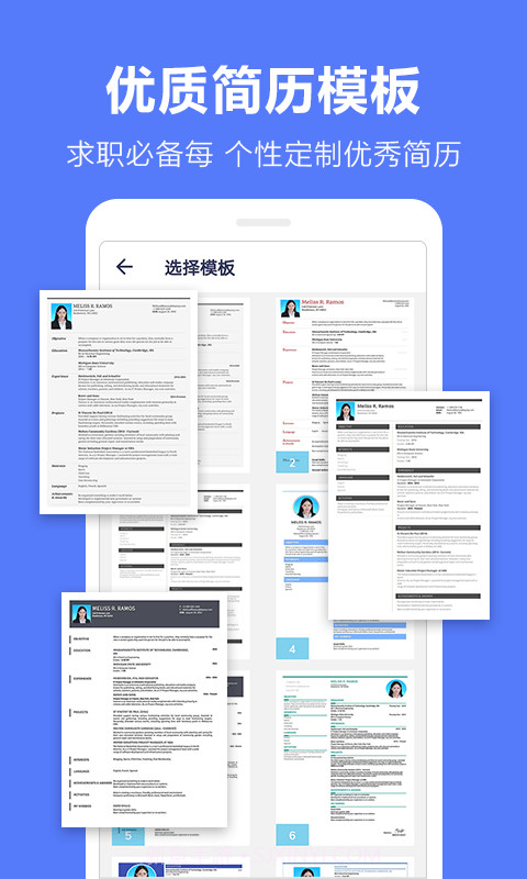 马步求职简历模板截图2