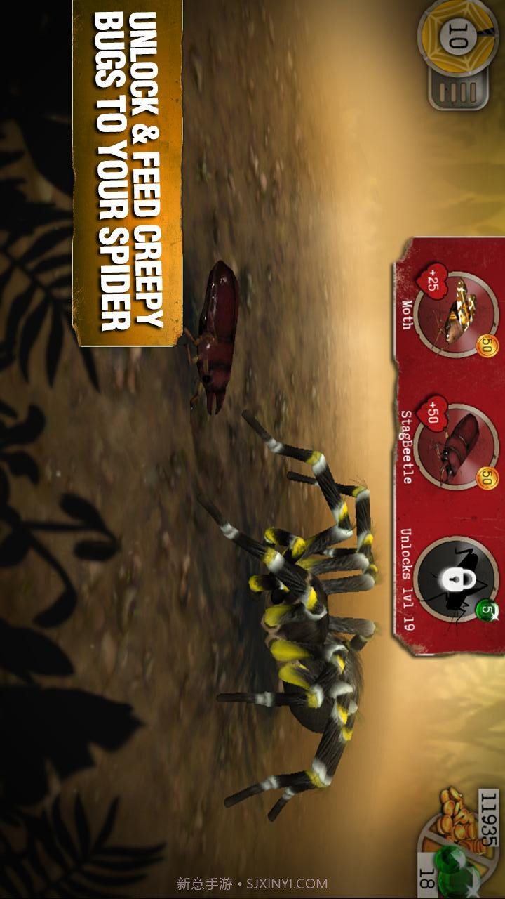 真正可怕的蜘蛛截图3