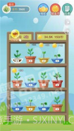 阳光养花场无限钻石截图3