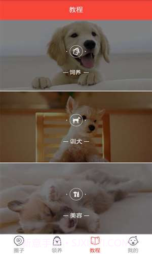 领狗狗截图3 领狗狗截图3