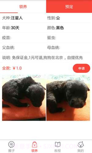 领狗狗截图2 领狗狗截图2