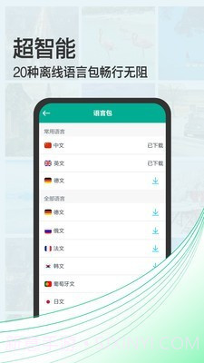 拍照翻译宝截图4