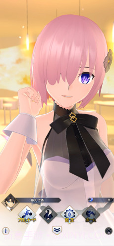 Fate Grand Order Waltz截图2