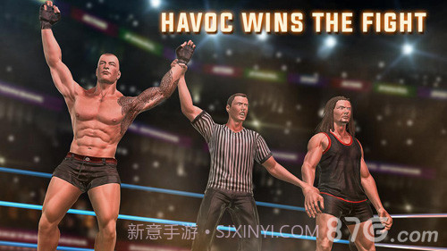 摔跤战士截图5