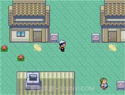 口袋妖怪蓝宝石截图3