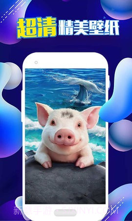 企鹅主题壁纸2021截图2