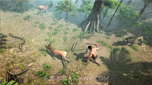 荒岛海滩幸存者截图1