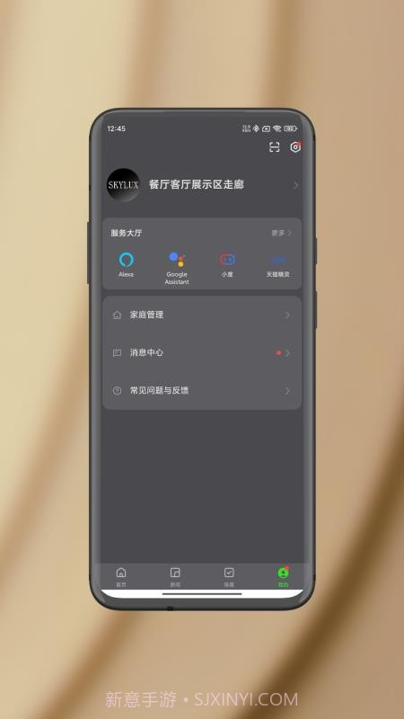 智能照明SK老版本截图5