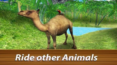 野生鹦鹉生存丛林鸟模拟器截图2 野生鹦鹉生存丛林鸟模拟器截图2