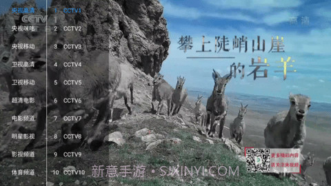 新喵影视2025最新版截图2 新喵影视2025最新版截图2