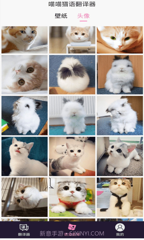 喵喵猫语翻译器截图3