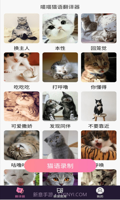 喵喵猫语翻译器截图2