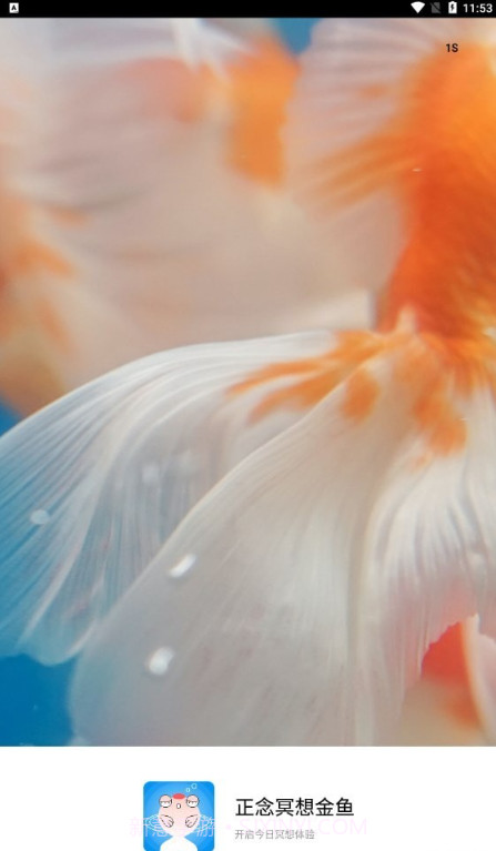 正念冥想金鱼截图1 正念冥想金鱼截图1