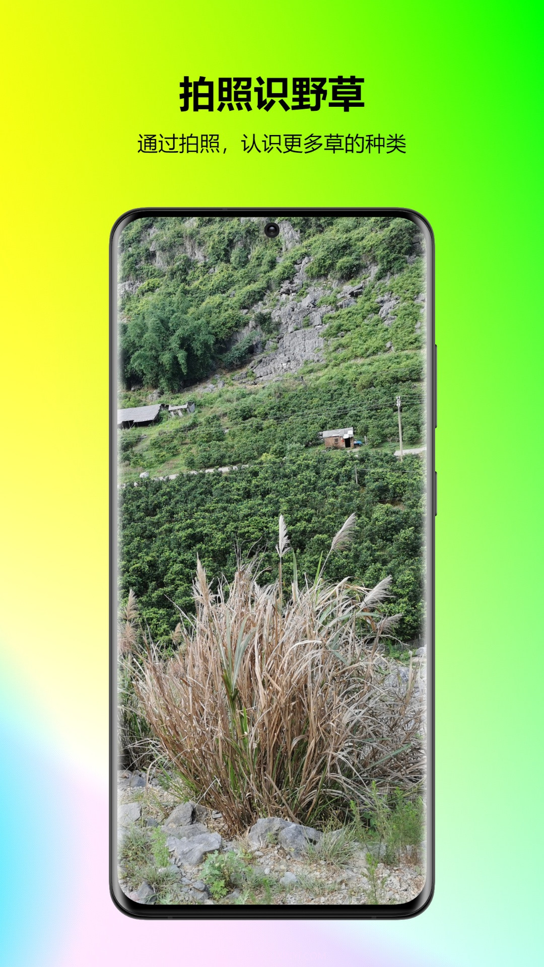 万能拍照识花免费截图4 万能拍照识花免费截图4