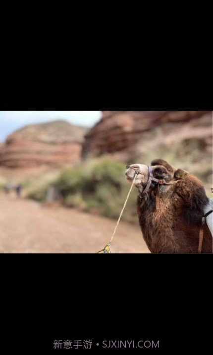 人间花絮截图2 人间花絮截图2