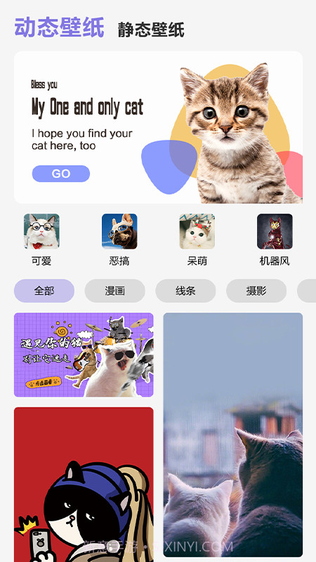 可爱喵喵壁纸大全截图3