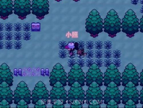 口袋妖怪零维e界截图2