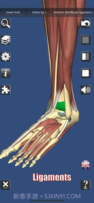 3D解剖截图3 3D解剖截图3