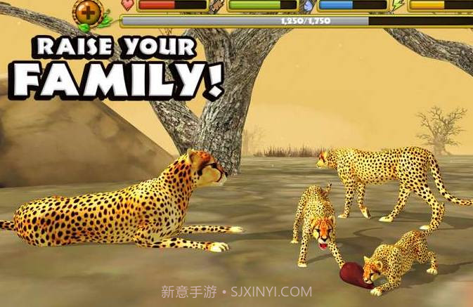 猎豹模拟截图1 猎豹模拟截图1