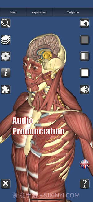 3D解剖截图4 3D解剖截图4