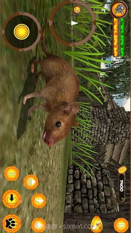 愤怒的老鼠家族截图1 愤怒的老鼠家族截图1