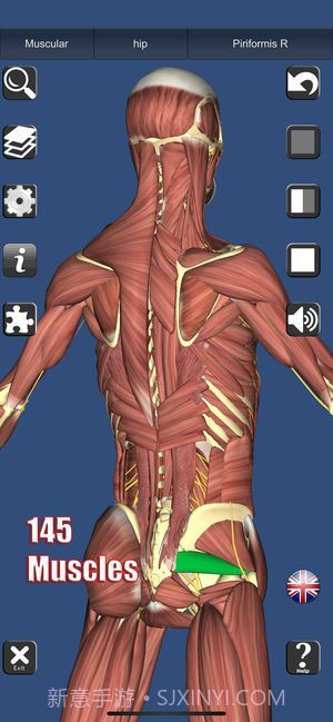 3D解剖截图5 3D解剖截图5