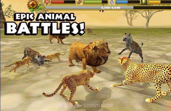 猎豹模拟截图3 猎豹模拟截图3