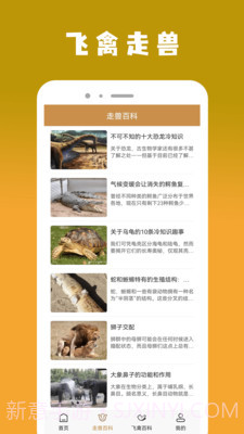 飞禽大全资讯截图3 飞禽大全资讯截图3