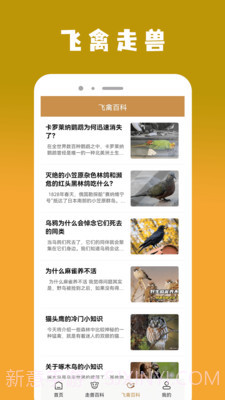飞禽大全资讯截图1 飞禽大全资讯截图1