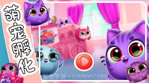 萌宠饲养小屋完整版截图5