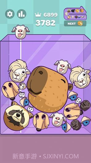 西瓜拼图水豚合并截图3