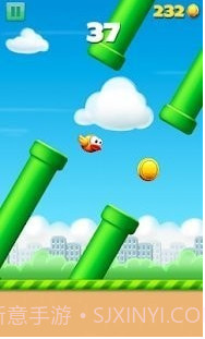 会飞的鸟截图2