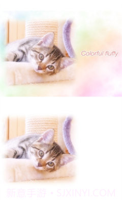 WataameCamera最新版截图3