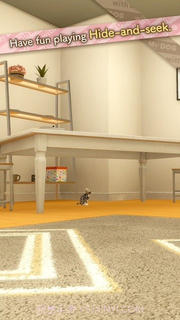 与我的猫咪截图2