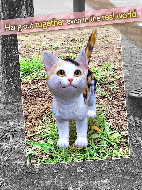 与我的猫咪截图3